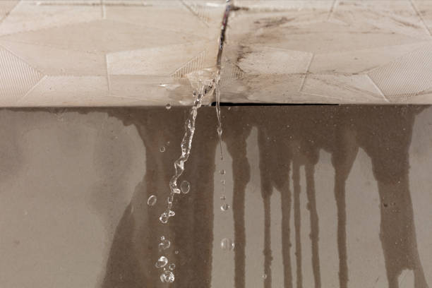Professional Emergency Water Removal technician working in Forestville, MI
